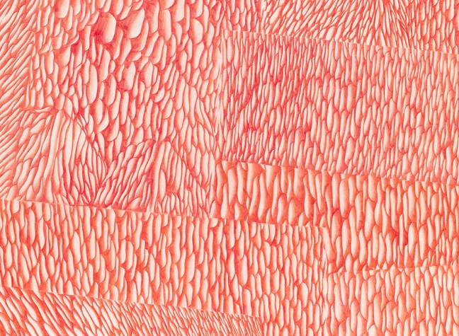 VP Wallpaper, vinylprint, stripes of 120 cm wide © Robin Vermeersch