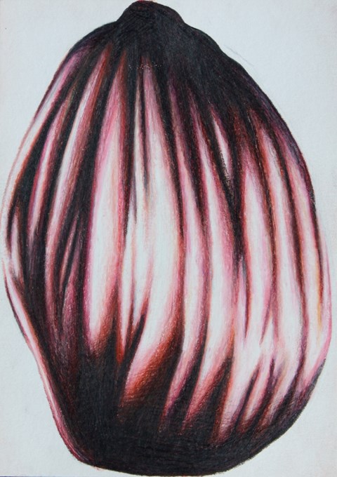 Tube, 2008, kleurpotlood en grafiet op papier, 10,5x15 cm © Robin Vermeersch