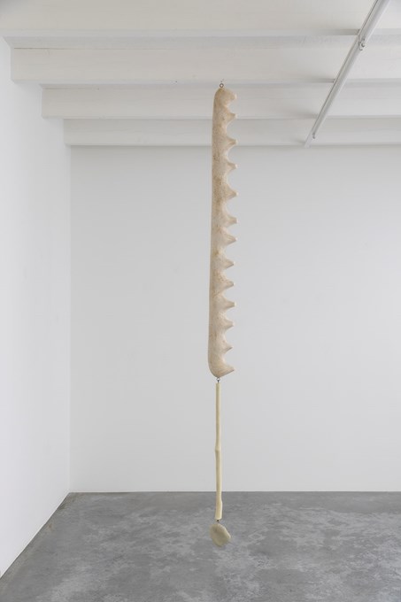 Hang in there #5, 2020, epoxy, polyester, 250x21x17 cm (picture David Samyn) © Robin Vermeersch