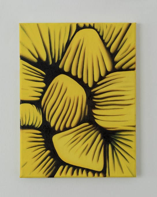 Sponge B, Olie op doek, 30x40 cm © Robin Vermeersch