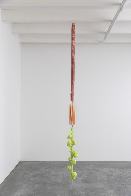 Hang in there # 22, 2022, epoxy, polyester, pigment, 2020x12x11 cm (picture David Samyn) © Robin Vermeersch