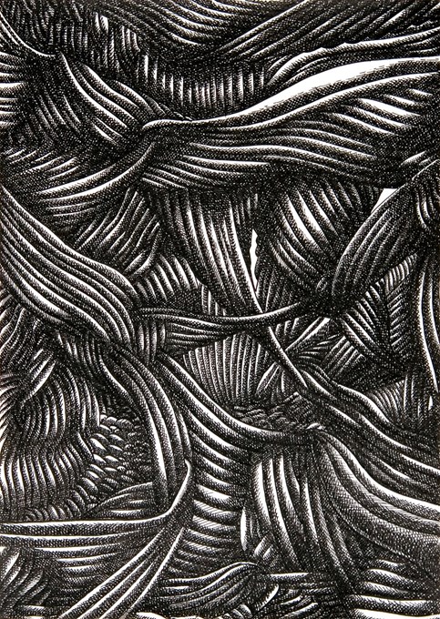 Weefsel 1 , 2006, inkt op papier, 21x30 cm © Robin Vermeersch