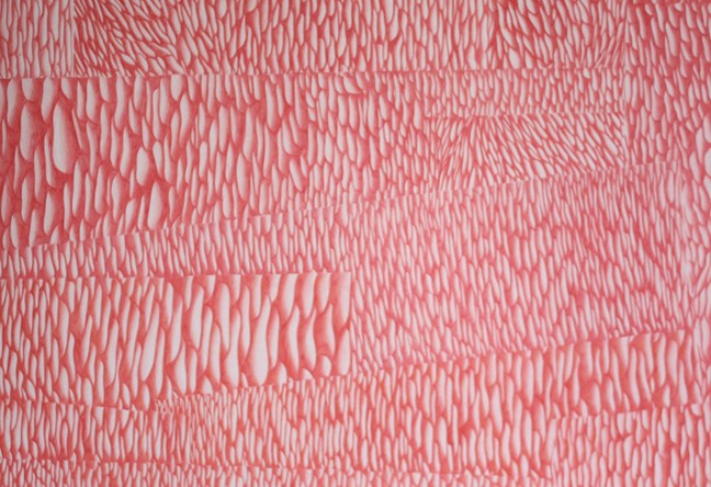 Groot veld, 2008, kleurpotlood op papier, 110x73cm © Robin Vermeersch