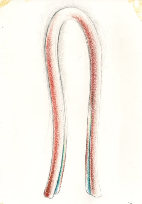 Slurf / 2019 / colorpencil on paper / 20,5cmx29cm © Robin Vermeersch